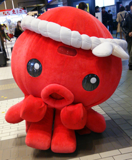 DSC_1337.JPG