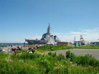 IMG_20130720_134209.jpg