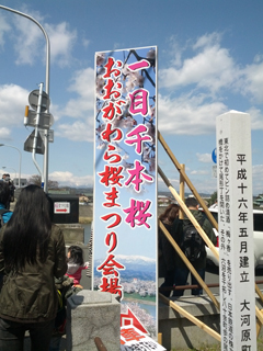 sakura02.jpg