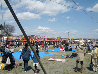 sakura05.jpg