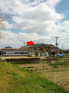 sakura15.jpg