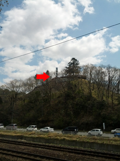 sakura24.jpg