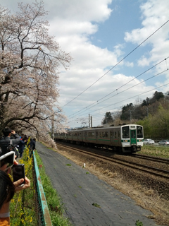 sakura26.jpg