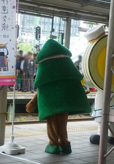 sugi02.jpg
